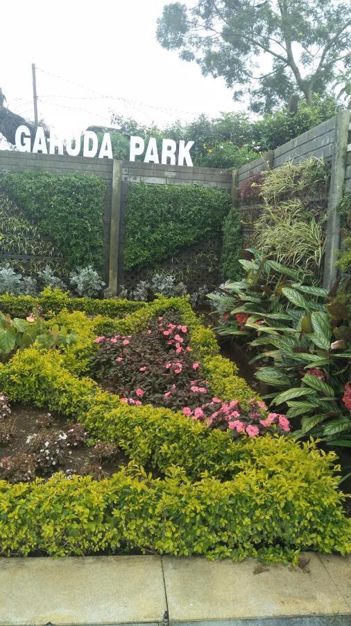 Garuda Park Resort Kotagiri Habitación foto
